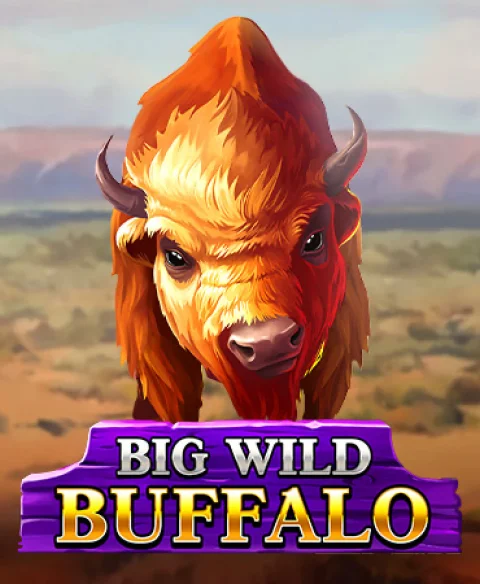 Play Big Wild Buffalo at Sticky Wilds Casino